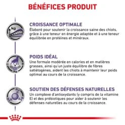 ROYAL CANIN Neutered Junior -Vetoavenue vet care nutrition neutered junior 5