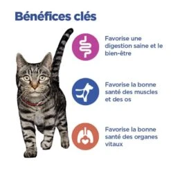 Vet Essentials Chat Multi-Benefit Adulte Poulet Sachet Repas 9 Vet Essentials Chat Multi-Benefit Adulte Poulet Sachet Repas -Vetoavenue vet essentials chat multi benefit adult 1 poulet sachet repas 2