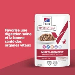Vet Essentials Chat Multi-Benefit Adult 1+ Saumon Sachet Repas -Vetoavenue vet essentials chat multi benefit adult 1 saumon sachet re 2