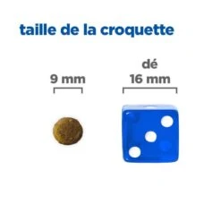 Vet Essentials Chat Multi-Benefit + Digestion Adult 1+ Saumon -Vetoavenue vet essentials chat multi benefit digestion adult 1 saum 4