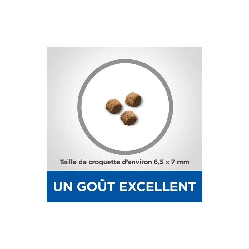 Vet Essentials Chat Multi-Benefit Kitten Poulet 5 Vet Essentials Chat Multi-Benefit Kitten Poulet – Image 5