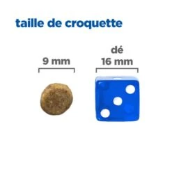 Vet Essentials Chat Multi-Benefit + Senior Health Poulet 9 Vet Essentials Chat Multi-Benefit + Senior Health Poulet -Vetoavenue vet essentials chat multi benefit senior health poulet 3