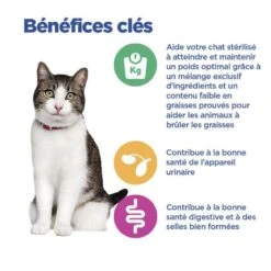 Vet Essentials Chat Multi-Benefit + Weight Adult Poulet Sachets Repas -Vetoavenue vet essentials chat multi benefit weight adult poulet sachets repas 7
