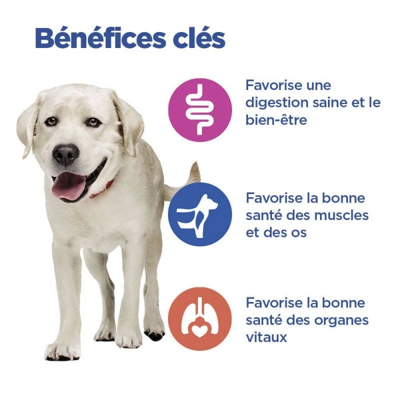 Vet Essentials Chien Multi-Benefit Adult + Large Breed Agneau & Riz 2 Vet Essentials Chien Multi-Benefit Adult + Large Breed Agneau & Riz – Image 2