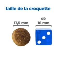 Vet Essentials Chien Multi-Benefit Adult + Large Breed Agneau & Riz 9 Vet Essentials Chien Multi-Benefit Adult + Large Breed Agneau & Riz -Vetoavenue vet essentials chien multi benefit adult 1 l breed agnri 2