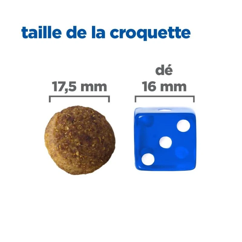 Vet Essentials Chien Multi-Benefit Adult + Large Breed Agneau & Riz 3 Vet Essentials Chien Multi-Benefit Adult + Large Breed Agneau & Riz – Image 3