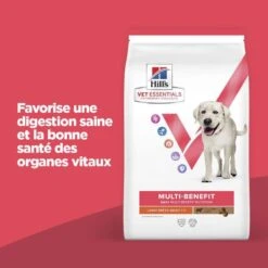 Vet Essentials Chien Multi-Benefit Adult + Large Breed Agneau & Riz 10 Vet Essentials Chien Multi-Benefit Adult + Large Breed Agneau & Riz -Vetoavenue vet essentials chien multi benefit adult 1 l breed agnri 3