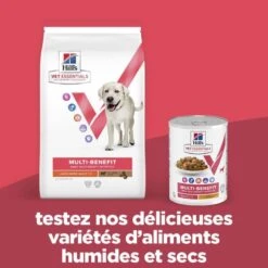 Vet Essentials Chien Multi-Benefit Adult + Large Breed Agneau & Riz 11 Vet Essentials Chien Multi-Benefit Adult + Large Breed Agneau & Riz -Vetoavenue vet essentials chien multi benefit adult 1 l breed agnri 4