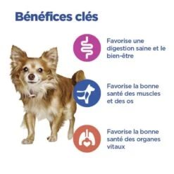 Vet Essentials Chien Multi-Benefit Adult + Small & Mini Agneau & Riz 10 Vet Essentials Chien Multi-Benefit Adult + Small & Mini Agneau & Riz -Vetoavenue vet essentials chien multi benefit adult 1 smallmini ar 2