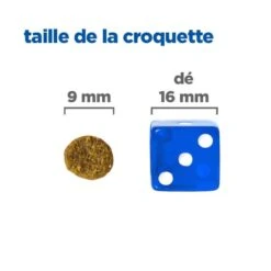 Vet Essentials Chien Multi-Benefit Adult + Small & Mini Agneau & Riz 12 Vet Essentials Chien Multi-Benefit Adult + Small & Mini Agneau & Riz -Vetoavenue vet essentials chien multi benefit adult 1 smallmini ar 4