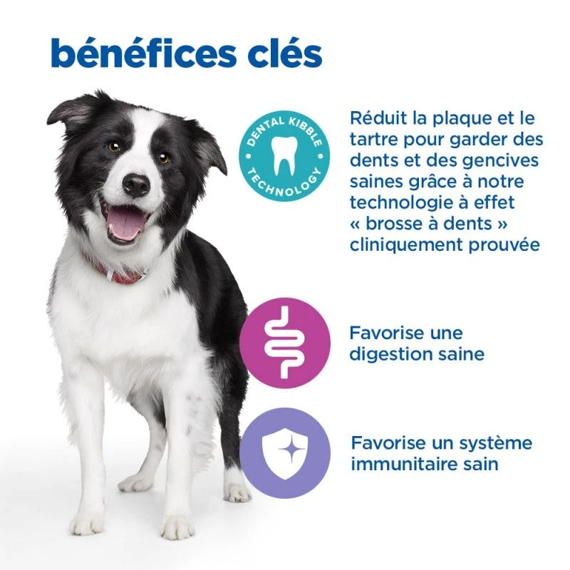 Vet Essentials Chien Multi-Benefit + Dental Adulte + Medium & Large Poulet 2 Vet Essentials Chien Multi-Benefit + Dental Adulte + Medium & Large Poulet – Image 2
