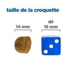 Vet Essentials Chien Multi-Benefit + Dental Adulte + Medium & Large Poulet 11 Vet Essentials Chien Multi-Benefit + Dental Adulte + Medium & Large Poulet -Vetoavenue vet essentials chien multi benefit dental ad 1 medla po 4