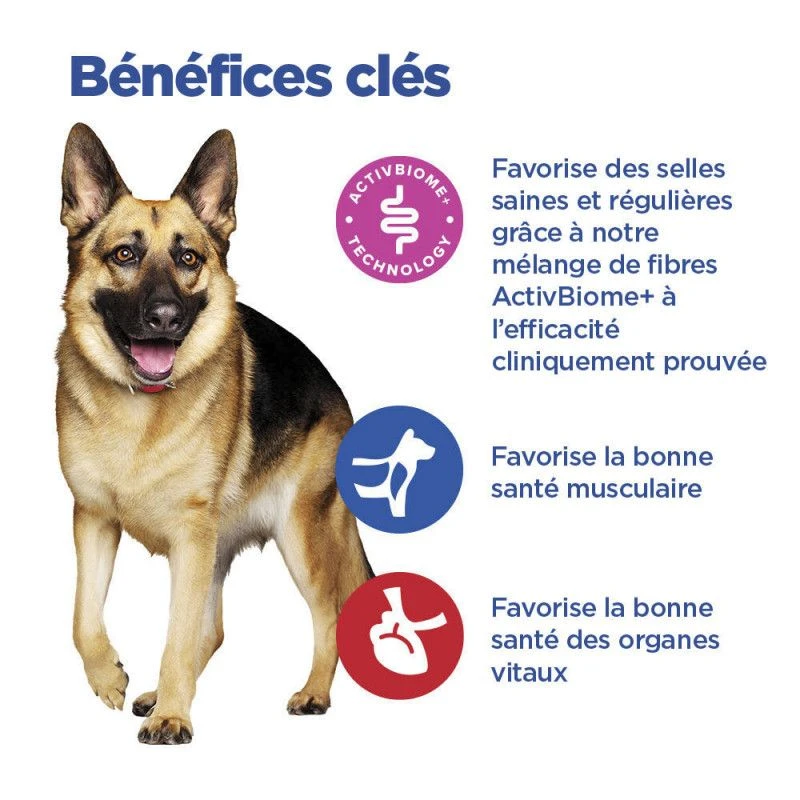 Vet Essentials Chien Multi-Benefit + Digestion Adulte+ Large Breed 2 Vet Essentials Chien Multi-Benefit + Digestion Adulte+ Large Breed – Image 2
