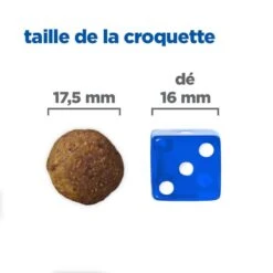 Vet Essentials Chien Multi-Benefit + Digestion Adulte+ Large Breed 8 Vet Essentials Chien Multi-Benefit + Digestion Adulte+ Large Breed -Vetoavenue vet essentials chien multi benefit digestion ad1 lar br sac de 14 kg 2