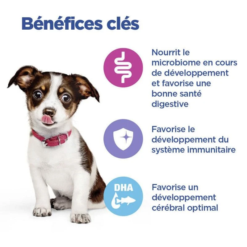 Vet Essentials Chien Multi-Benefit Puppy Medium Poulet 2 Vet Essentials Chien Multi-Benefit Puppy Medium Poulet – Image 2
