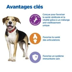 Vet Essentials Chien Multi-Benefit + Senior Health M&L Poul. -Vetoavenue vet essentials chien multi benefit senior health ml poul 2