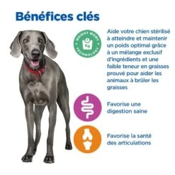 Vet Essentials Chien Multi-Benefit + Weight Adult + Large Breed Poulet 10 Vet Essentials Chien Multi-Benefit + Weight Adult + Large Breed Poulet -Vetoavenue vet essentials chien multi benefit wei adult 1 larb po 3