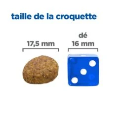 Vet Essentials Chien Multi-Benefit + Weight Adult + Large Breed Poulet 11 Vet Essentials Chien Multi-Benefit + Weight Adult + Large Breed Poulet -Vetoavenue vet essentials chien multi benefit wei adult 1 larb po 4