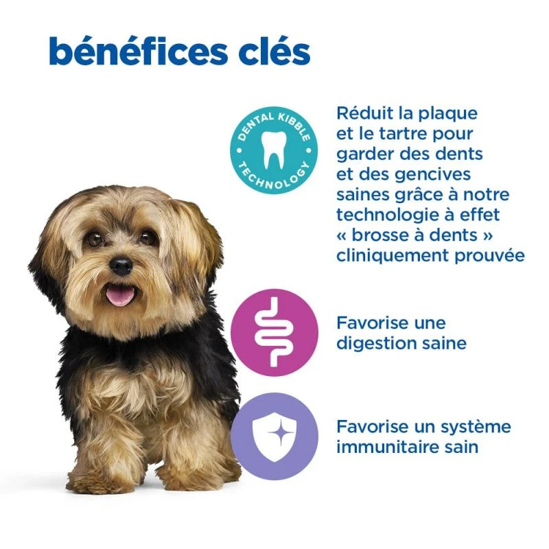 Vet Essentials Chien Multi-Benefit+Dental Adult 1+ Small & Mini 2 Vet Essentials Chien Multi-Benefit+Dental Adult 1+ Small & Mini – Image 2