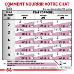 ROYAL CANIN Veterinary Health Nutrition Cat Renal Poisson Sachet Repas 11 ROYAL CANIN Veterinary Health Nutrition Cat Renal Poisson Sachet Repas -Vetoavenue veterinary diet cat renal poisson sachet repas 3