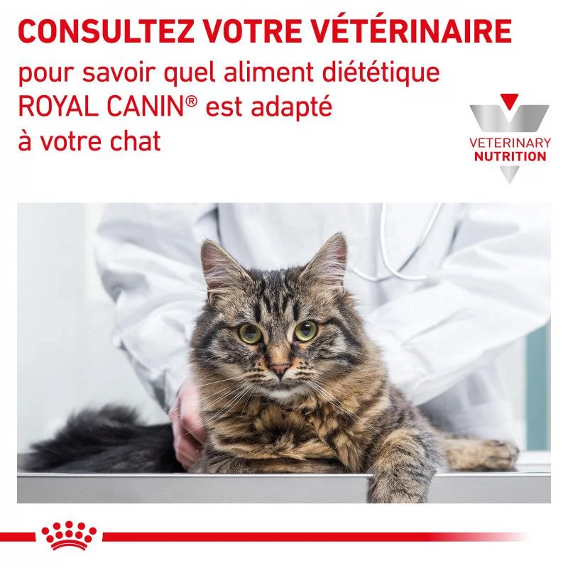 ROYAL CANIN Veterinary Health Nutrition Cat Renal Poisson Sachet Repas 7 ROYAL CANIN Veterinary Health Nutrition Cat Renal Poisson Sachet Repas – Image 7