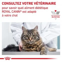 ROYAL CANIN Veterinary Health Nutrition Cat Renal Special -Vetoavenue veterinary diet cat renal special 7