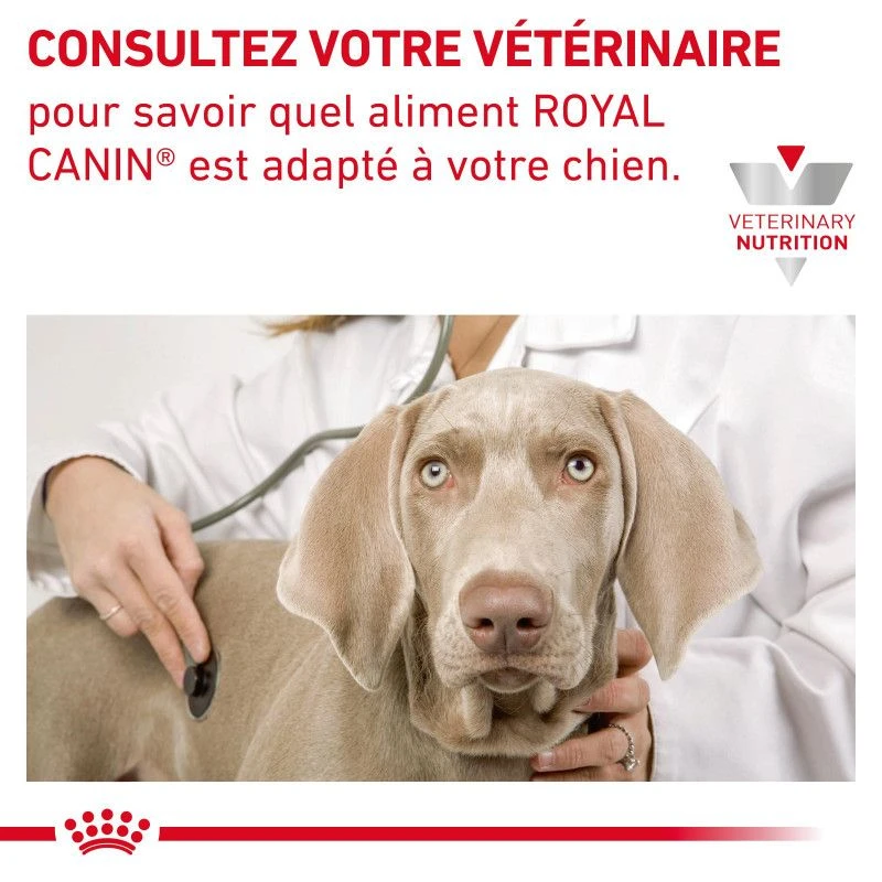 ROYAL CANIN Veterinary Health Nutrition Dog Cardiac 8 ROYAL CANIN Veterinary Health Nutrition Dog Cardiac – Image 8