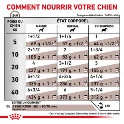 ROYAL CANIN Dog Hepatic Boîte 11 ROYAL CANIN Dog Hepatic Boîte -Vetoavenue veterinary diet dog hepatic boite 3