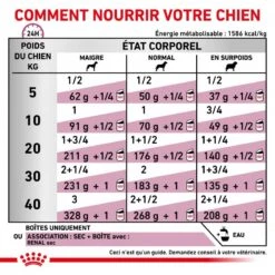 ROYAL CANIN Veterinary Health Nutrition Dog Renal Boîte -Vetoavenue veterinary diet dog renal boite 2