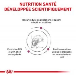 ROYAL CANIN Veterinary Diet Dog Renal Select -Vetoavenue veterinary diet dog renal select 2