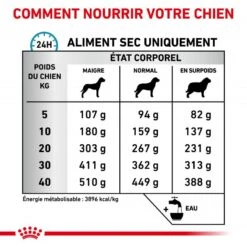 ROYAL CANIN Dog Skin Care Adult -Vetoavenue veterinary diet dog skin care adult 5