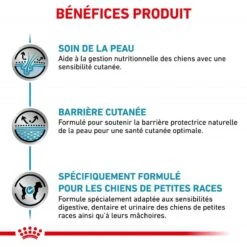 ROYAL CANIN Dog Skin Care Adult Small Dog -Vetoavenue veterinary diet dog skin care adult small dog 4