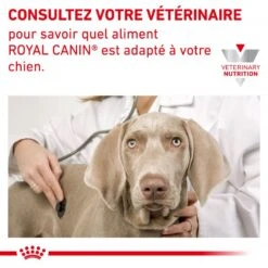 ROYAL CANIN Dog Skin Care Adult Small Dog -Vetoavenue veterinary diet dog skin care adult small dog 9