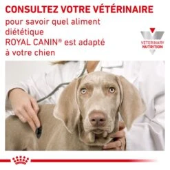 ROYAL CANIN Dog Urinary S/O 11 ROYAL CANIN Dog Urinary S/O -Vetoavenue veterinary diet dog urinary s o 2