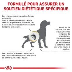 ROYAL CANIN Dog Urinary S/O 12 ROYAL CANIN Dog Urinary S/O -Vetoavenue veterinary diet dog urinary s o 3