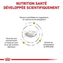 ROYAL CANIN Dog Urinary S/O 15 ROYAL CANIN Dog Urinary S/O -Vetoavenue veterinary diet dog urinary s o 6