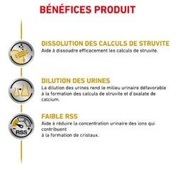 ROYAL CANIN Veterinary Health Nutrition Dog Urinary S/O Boîte -Vetoavenue veterinary diet dog urinary s o boite 2