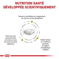 ROYAL CANIN Dog Urinary S/O Moderate Calorie -Vetoavenue veterinary diet dog urinary s o moderate calorie 2