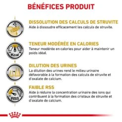 ROYAL CANIN Dog Urinary S/O Moderate Calorie -Vetoavenue veterinary diet dog urinary s o moderate calorie 4