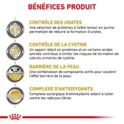 ROYAL CANIN Dog Urinary UC Low Purine 11 ROYAL CANIN Dog Urinary UC Low Purine -Vetoavenue veterinary diet dog urinary uc low purine 4