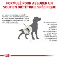 ROYAL CANIN Dog Urinary UC Low Purine 13 ROYAL CANIN Dog Urinary UC Low Purine -Vetoavenue veterinary diet dog urinary uc low purine 6