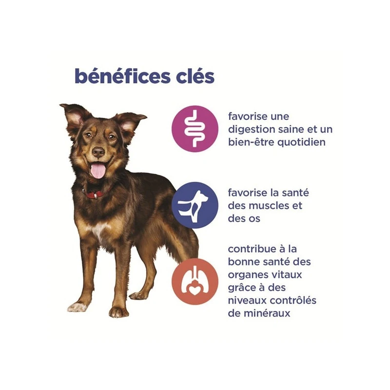 Vet Essentials Canine Adult Poulet & Légumes Boîte 3 Vet Essentials Canine Adult Poulet & Légumes Boîte – Image 3