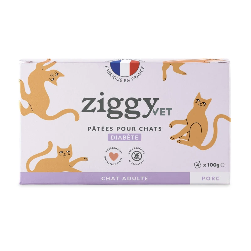 Ziggy Chat Adulte Diabète Porc & Boeuf Pâtée 1 Ziggy Chat Adulte Diabète Porc & Boeuf Pâtée