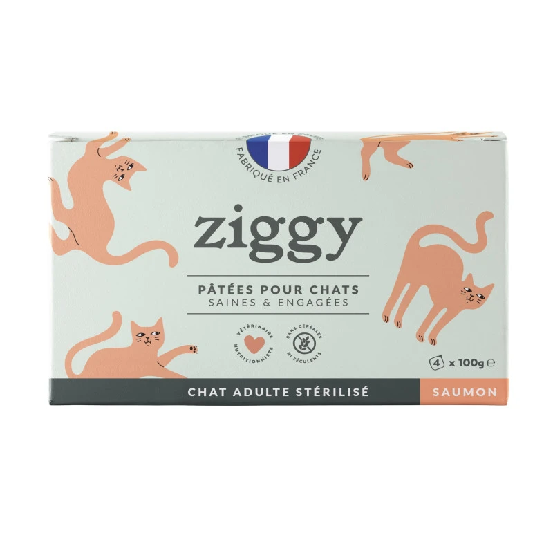 Ziggy Chat Adulte Stérilisé Saumon Pâtée 1 Ziggy Chat Adulte Stérilisé Saumon Pâtée
