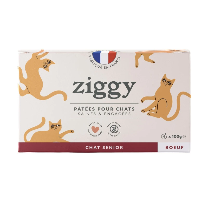 Ziggy Chat Senior Boeuf Pâtée 1 Ziggy Chat Senior Boeuf Pâtée